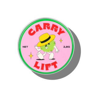 carry lift 2