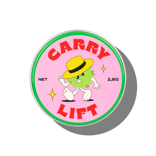 carry lift 2