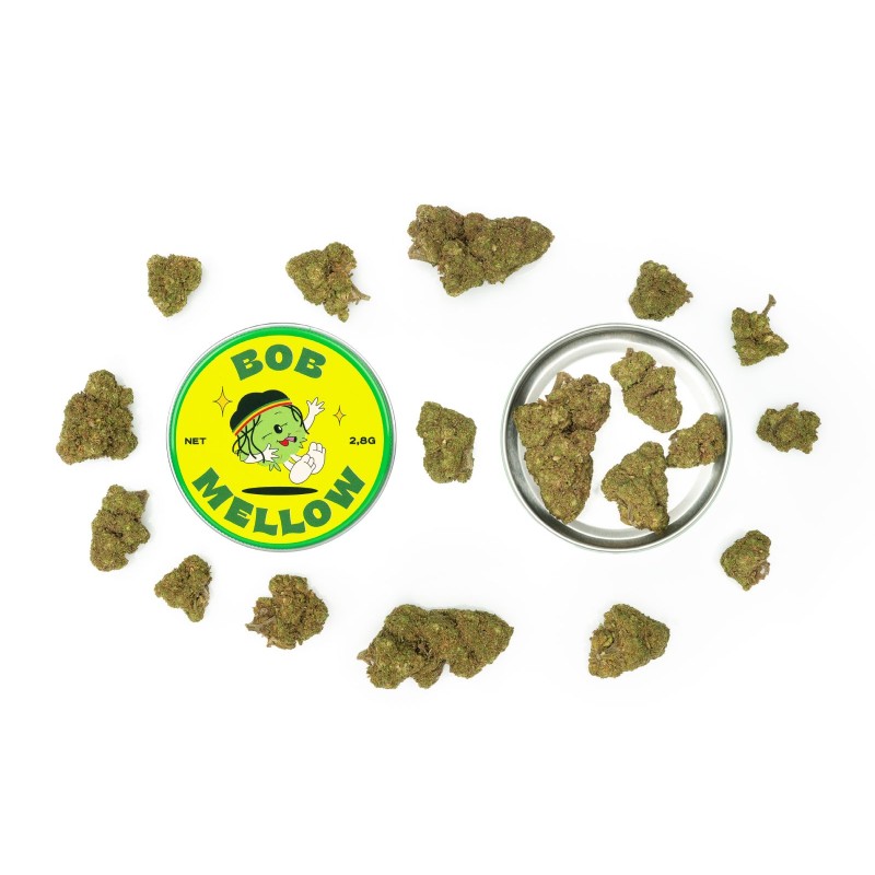 BOB MELLOW cofki - slika 4