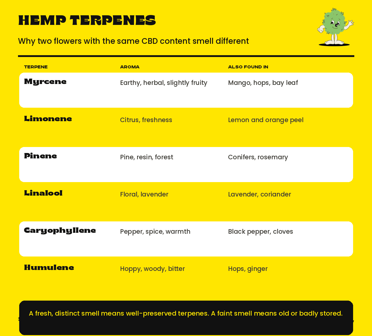The six most common terpenes in hemp with aroma and comparison: myrcene, limonene, pinene, linalool, caryophyllene and humulene