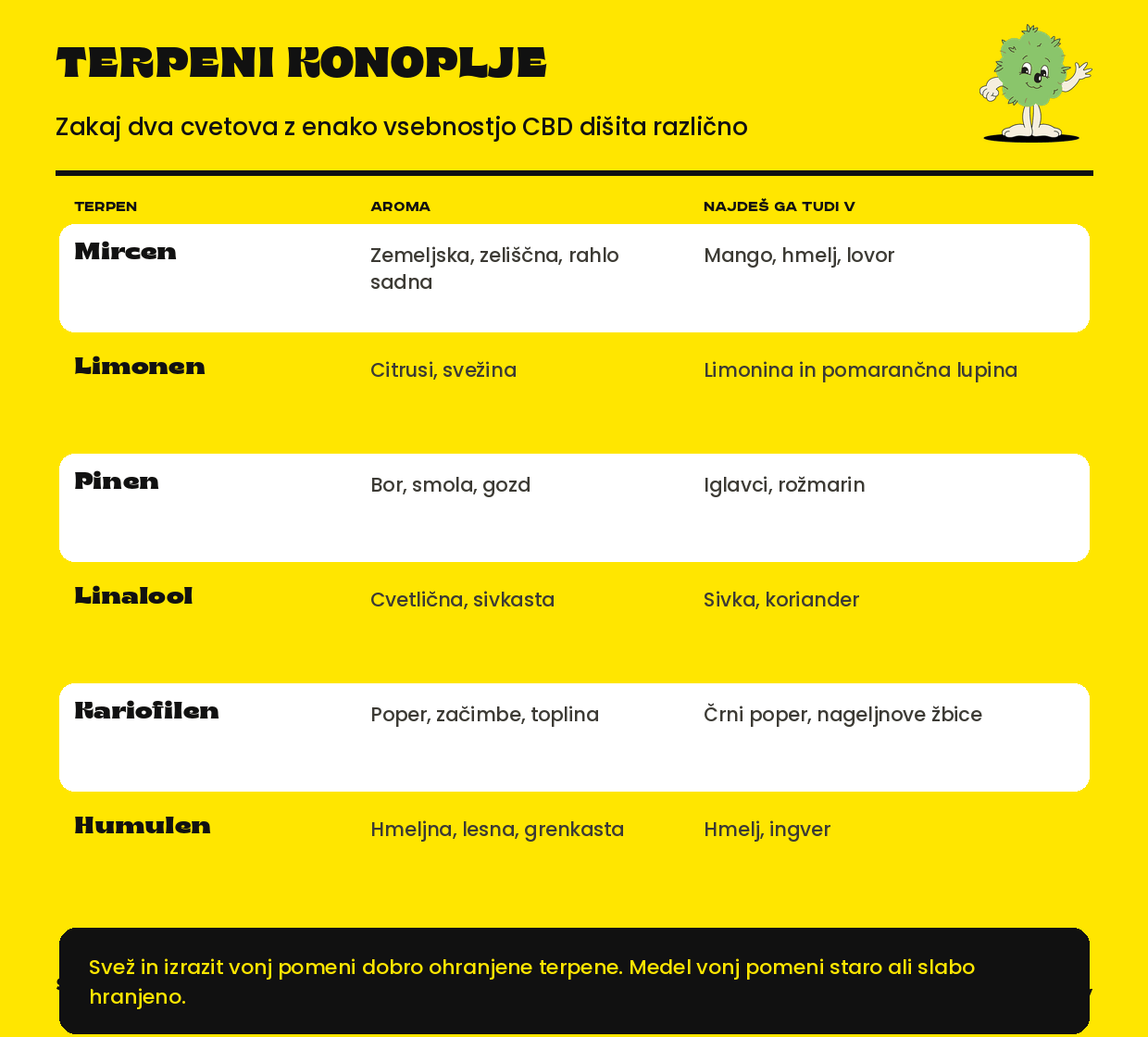 Šest najpogostejših terpenov v konoplji z aromo in primerjavo: mircen, limonen, pinen, linalool, kariofilen in humulen