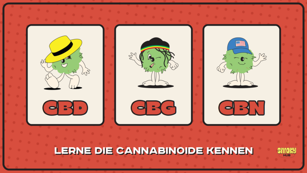 Unterschied zwischen CBD, CBG und CBN — SmokyHub