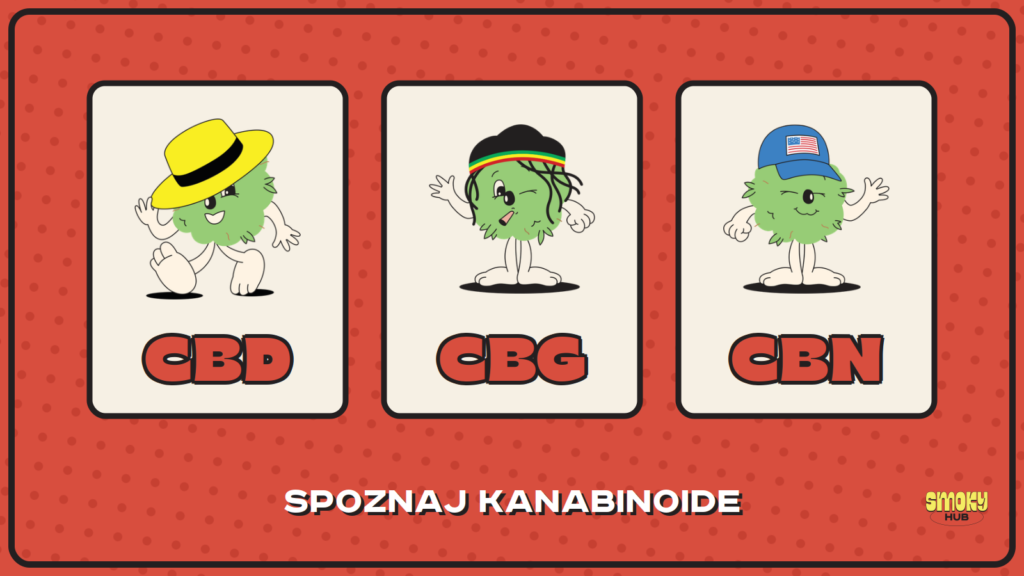 Razlika med CBD, CBG in CBN — SmokyHub