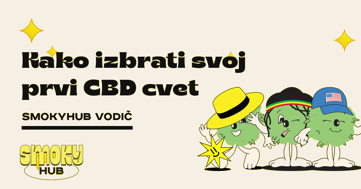 Kako izbrati svoj prvi CBD cvet: vodič za začetnike – SmokyHub
