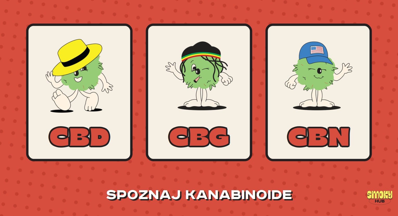 blog thumb 2329 fullbleed
