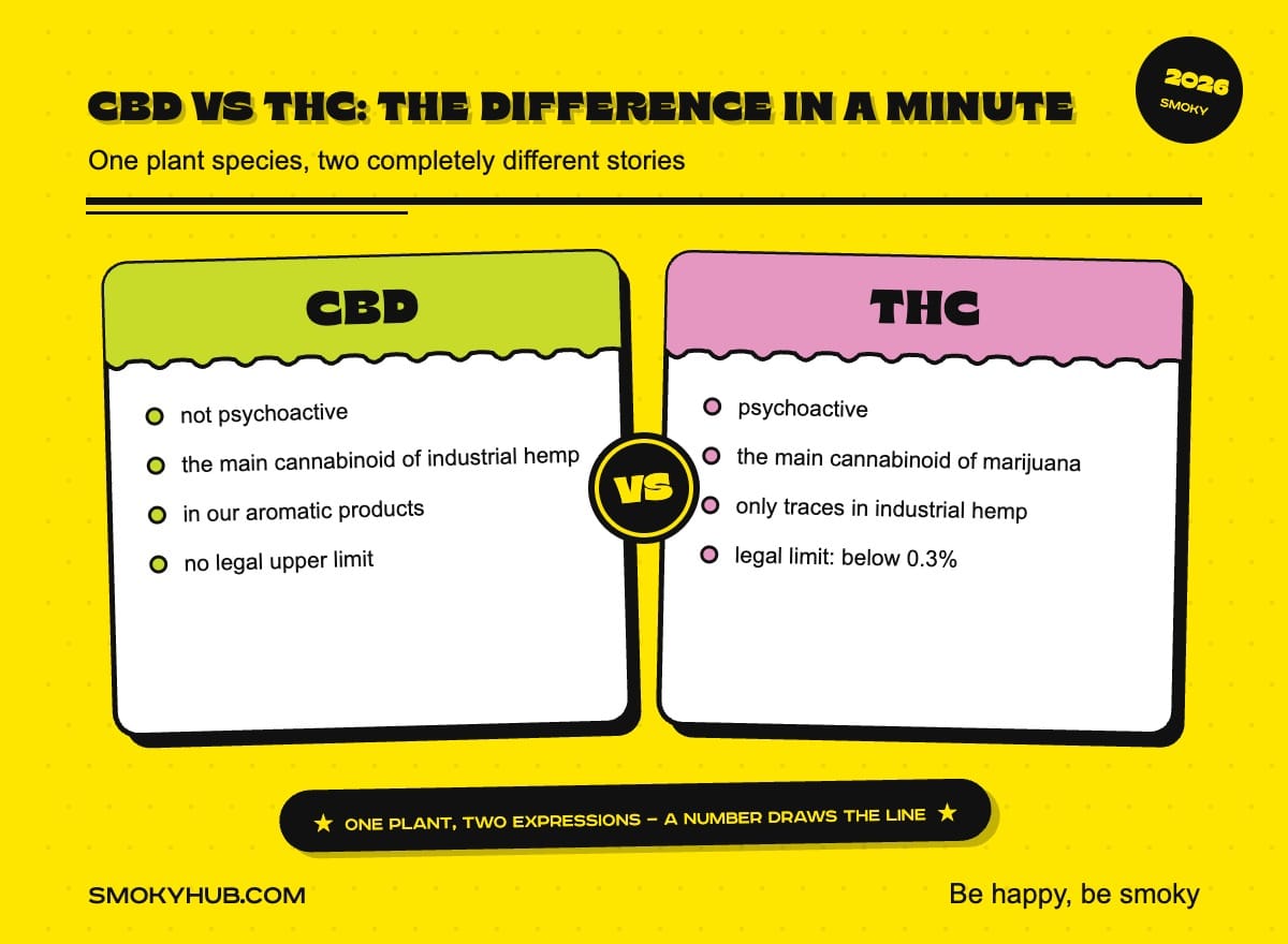 CBD vs THC: the difference in a minute (SmokyHub infographic)