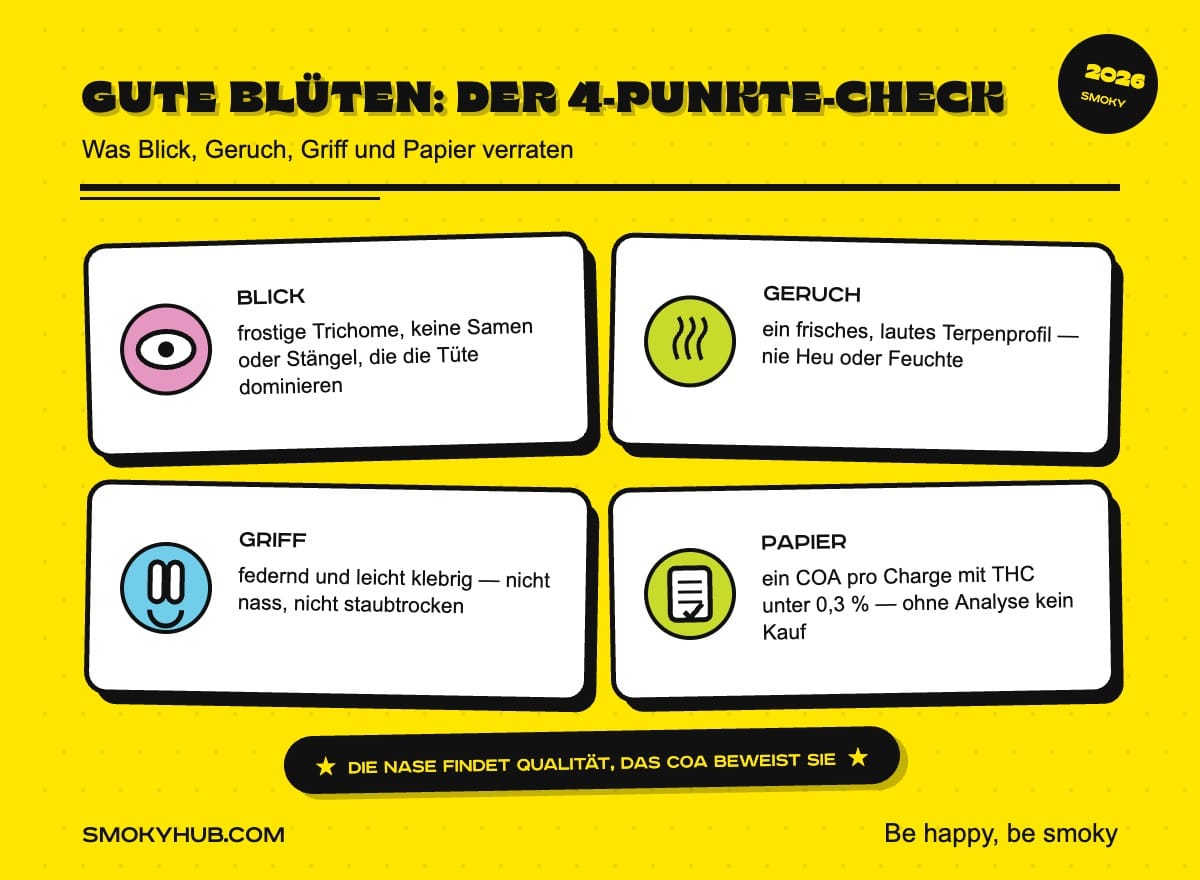Gute Hanfblüten: der 4-Punkte-Check (SmokyHUB Infografik)