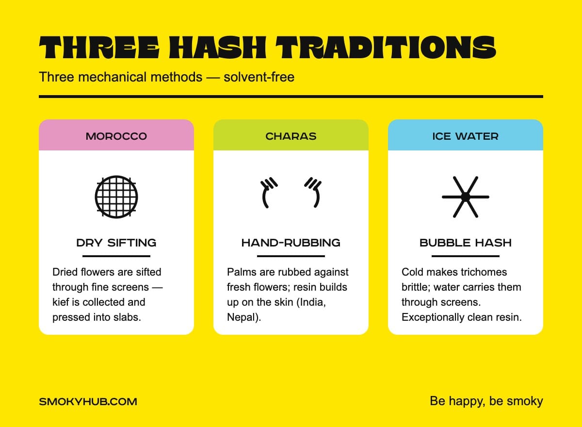 Three hash traditions – dry sifting, charas and ice water (SmokyHUB infographic)