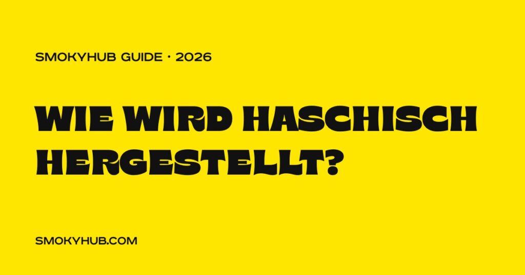 Wie wird Haschisch hergestellt – SmokyHUB Guide